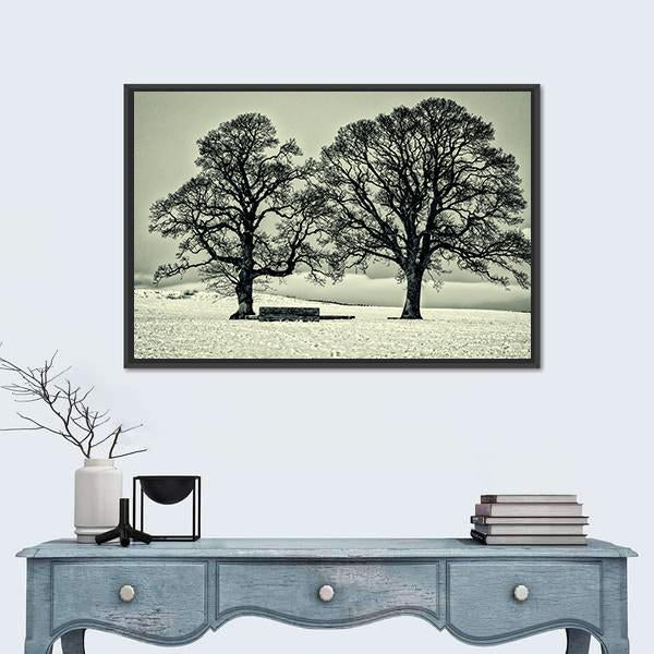 Winter Trees On Scottish Borders Canvas Wall Art-1 Piece-Floating Frame-24" x 16"-Tiaracle