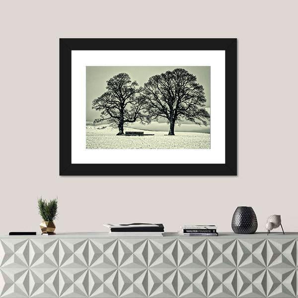Winter Trees On Scottish Borders Canvas Wall Art-1 Piece-Framed Print-20" x 16"-Tiaracle