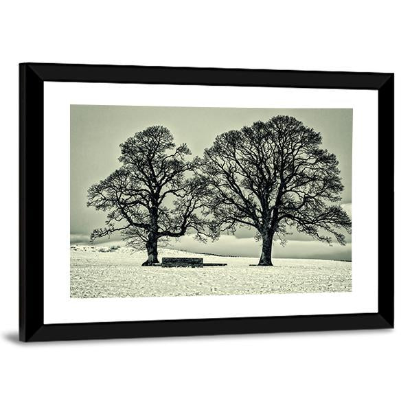 Winter Trees On Scottish Borders Canvas Wall Art-5 Horizontal-Gallery Wrap-22" x 12"-Tiaracle