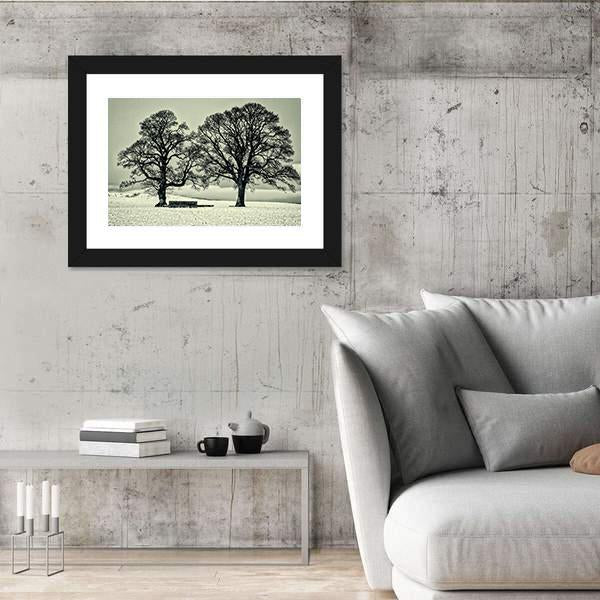 Winter Trees On Scottish Borders Canvas Wall Art-5 Horizontal-Gallery Wrap-22" x 12"-Tiaracle