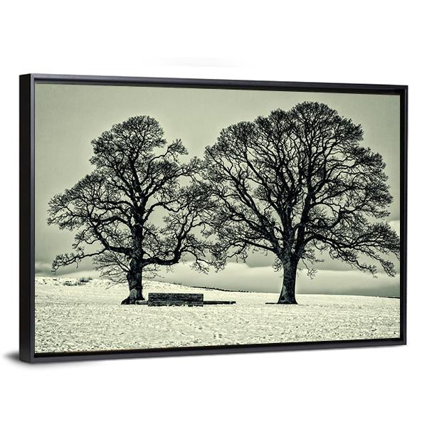 Winter Trees On Scottish Borders Canvas Wall Art-5 Horizontal-Gallery Wrap-22" x 12"-Tiaracle