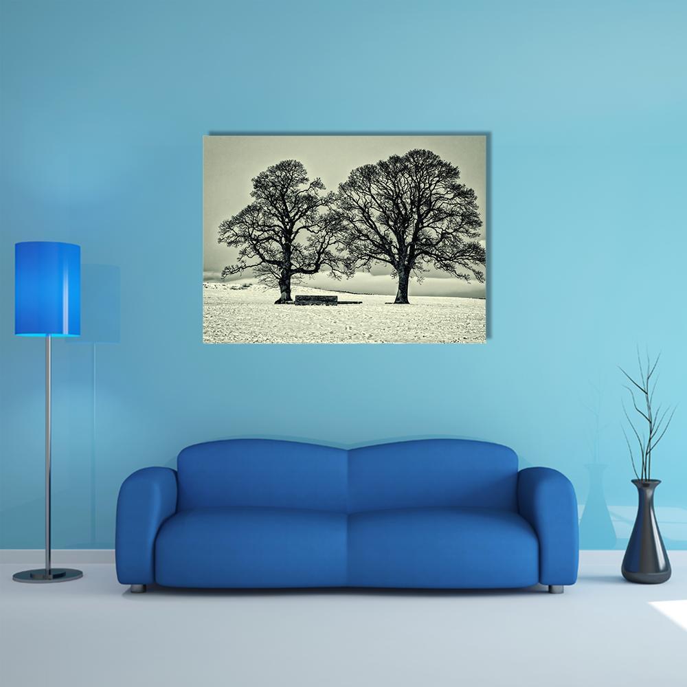 Winter Trees On Scottish Borders Canvas Wall Art-1 Piece-Gallery Wrap-48" x 32"-Tiaracle