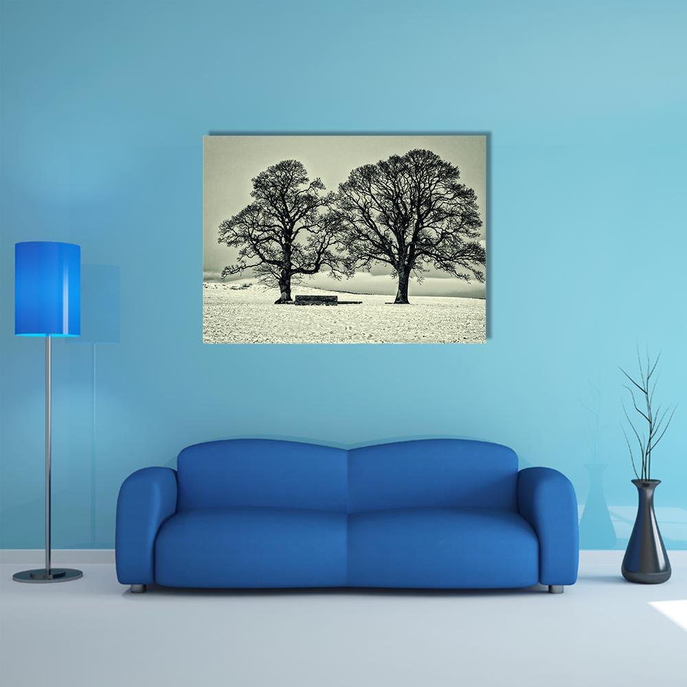 Winter Trees On Scottish Borders Canvas Wall Art-4 Horizontal-Gallery Wrap-34" x 24"-Tiaracle