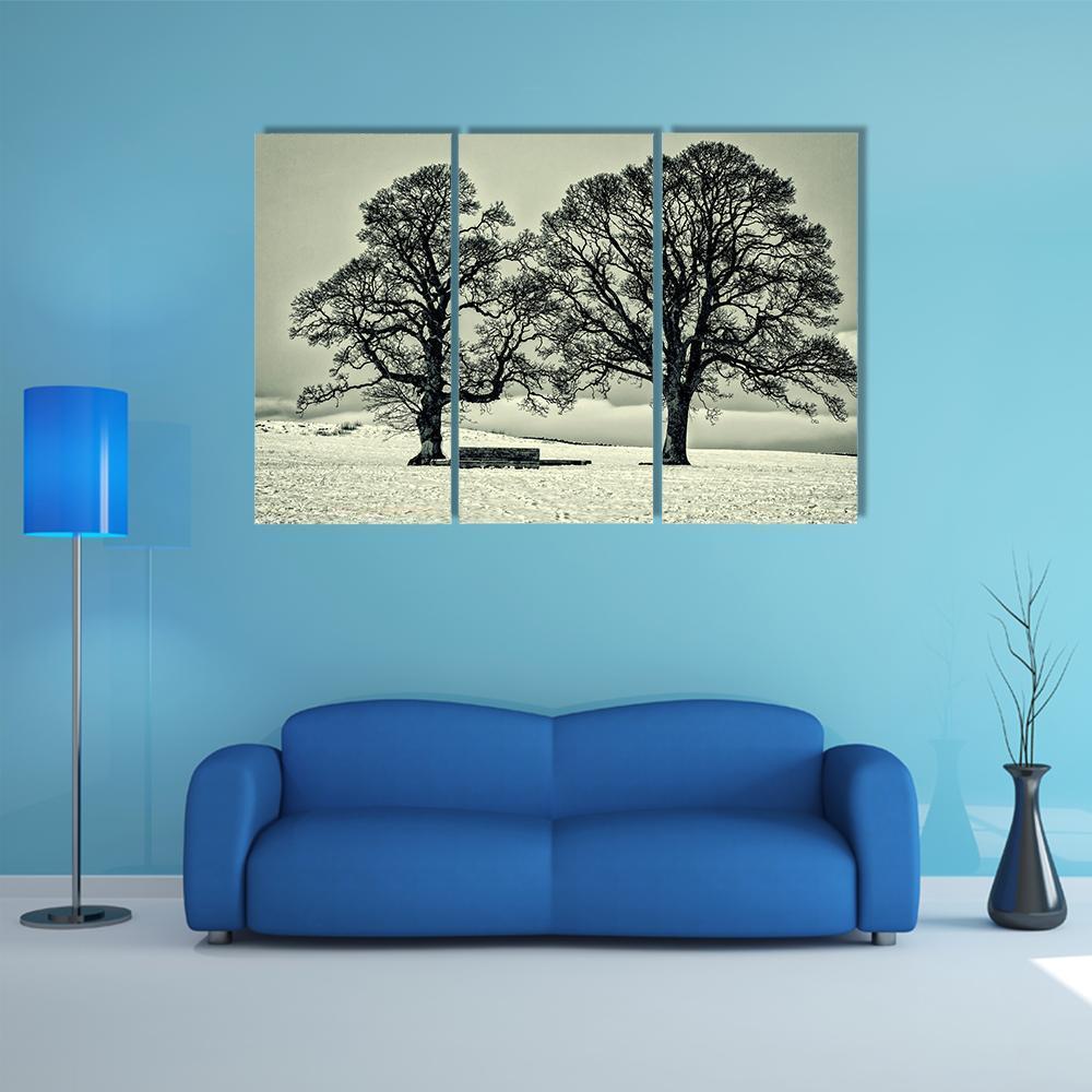 Winter Trees On Scottish Borders Canvas Wall Art-3 Horizontal-Gallery Wrap-37" x 24"-Tiaracle
