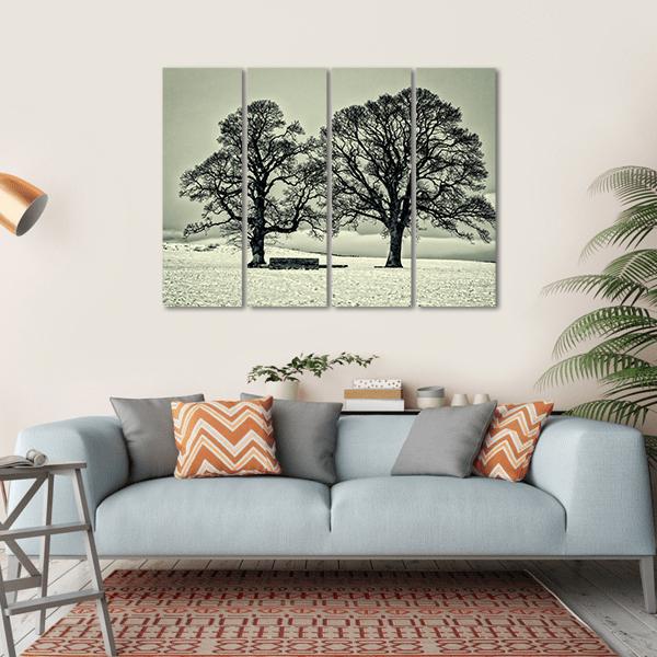 Winter Trees On Scottish Borders Canvas Wall Art-4 Horizontal-Gallery Wrap-34" x 24"-Tiaracle