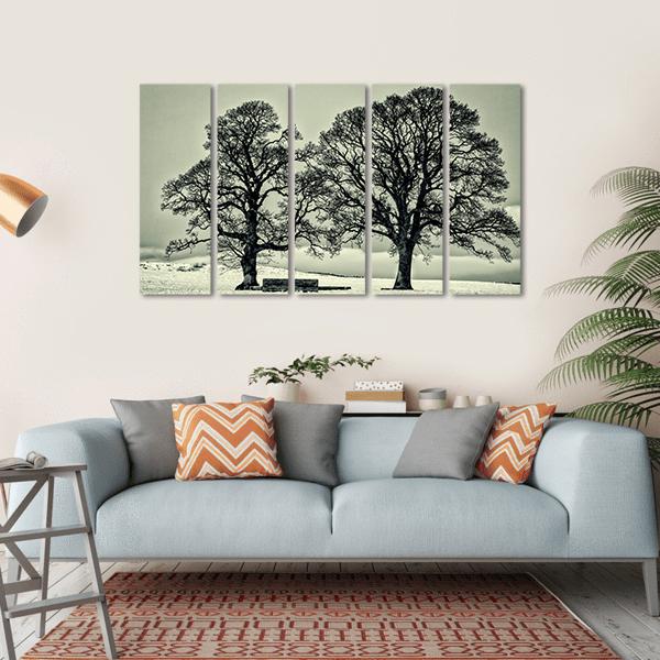 Winter Trees On Scottish Borders Canvas Wall Art-5 Horizontal-Gallery Wrap-22" x 12"-Tiaracle