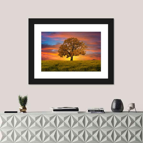 Wonderful Alone Tree In The Field With Clouds Canvas Wall Art-1 Piece-Framed Print-30" x 20"-Tiaracle