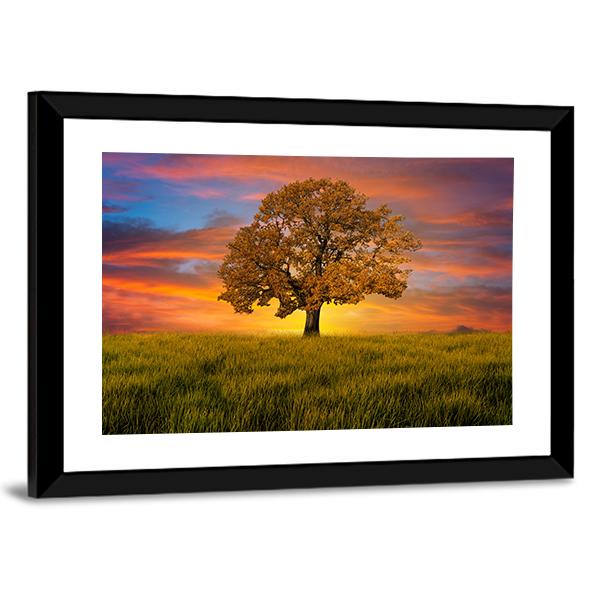 Wonderful Alone Tree In The Field With Clouds Canvas Wall Art-5 Horizontal-Gallery Wrap-22" x 12"-Tiaracle
