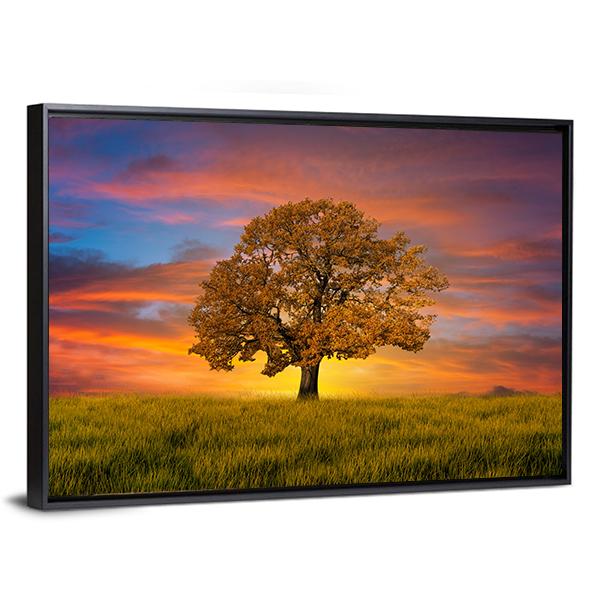 Wonderful Alone Tree In The Field With Clouds Canvas Wall Art-5 Horizontal-Gallery Wrap-22" x 12"-Tiaracle