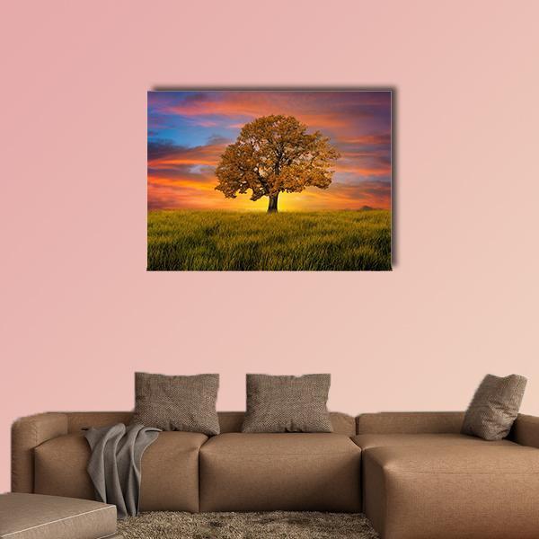 Wonderful Alone Tree In The Field With Clouds Canvas Wall Art-1 Piece-Gallery Wrap-48" x 32"-Tiaracle