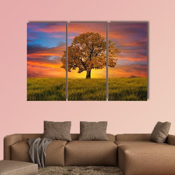 Wonderful Alone Tree In The Field With Clouds Canvas Wall Art-3 Horizontal-Gallery Wrap-37" x 24"-Tiaracle