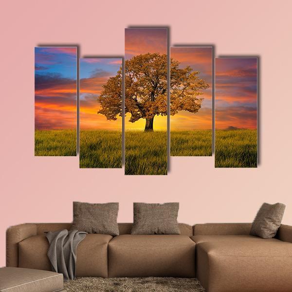 Wonderful Alone Tree In The Field With Clouds Canvas Wall Art-5 Pop-Gallery Wrap-47" x 32"-Tiaracle