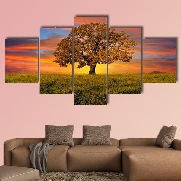 Wonderful Alone Tree In The Field With Clouds Canvas Wall Art-5 Star-Gallery Wrap-62" x 32"-Tiaracle