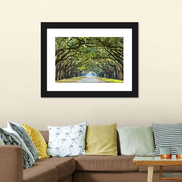 Wormsloe Tree Tunnel Canvas Wall Art-1 Piece-Framed Print-20" x 16"-Tiaracle