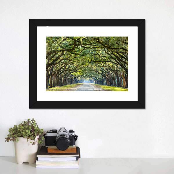 Wormsloe Tree Tunnel Canvas Wall Art-5 Horizontal-Gallery Wrap-22" x 12"-Tiaracle