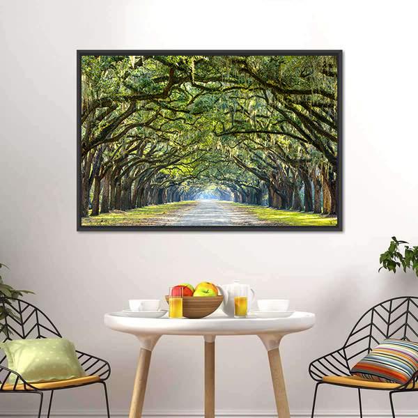 Wormsloe Tree Tunnel Canvas Wall Art-1 Piece-Floating Frame-24" x 16"-Tiaracle