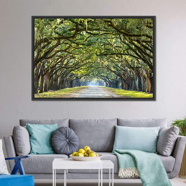 Wormsloe Tree Tunnel Vertical Canvas Wall Art-3 Vertical-Gallery Wrap-12" x 25"-Tiaracle