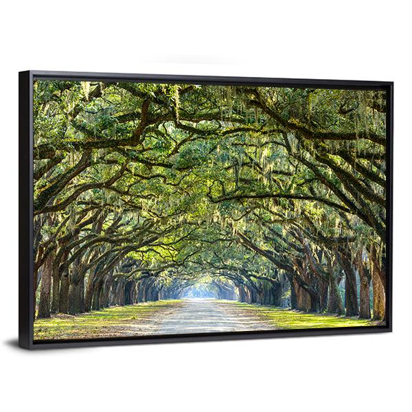 Wormsloe Tree Tunnel Vertical Canvas Wall Art-3 Vertical-Gallery Wrap-12" x 25"-Tiaracle