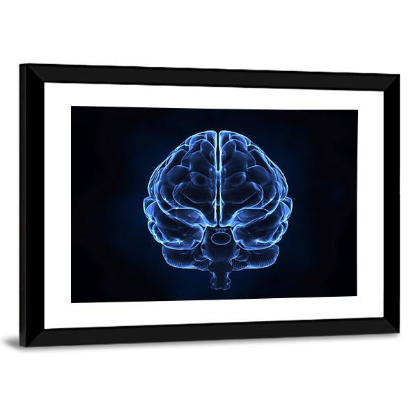 X-Ray Of Human Brain Canvas Wall Art-3 Horizontal-Gallery Wrap-25" x 16"-Tiaracle