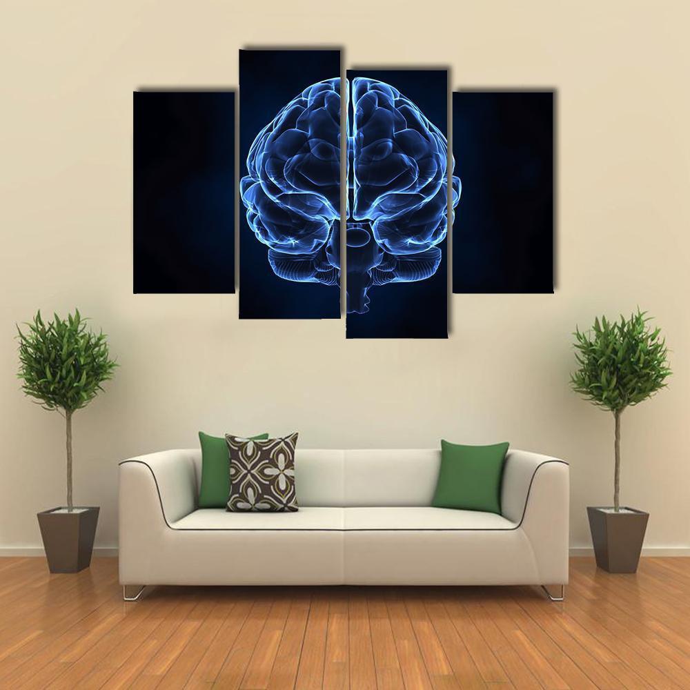 X-Ray Of Human Brain Canvas Wall Art-4 Pop-Gallery Wrap-50" x 32"-Tiaracle