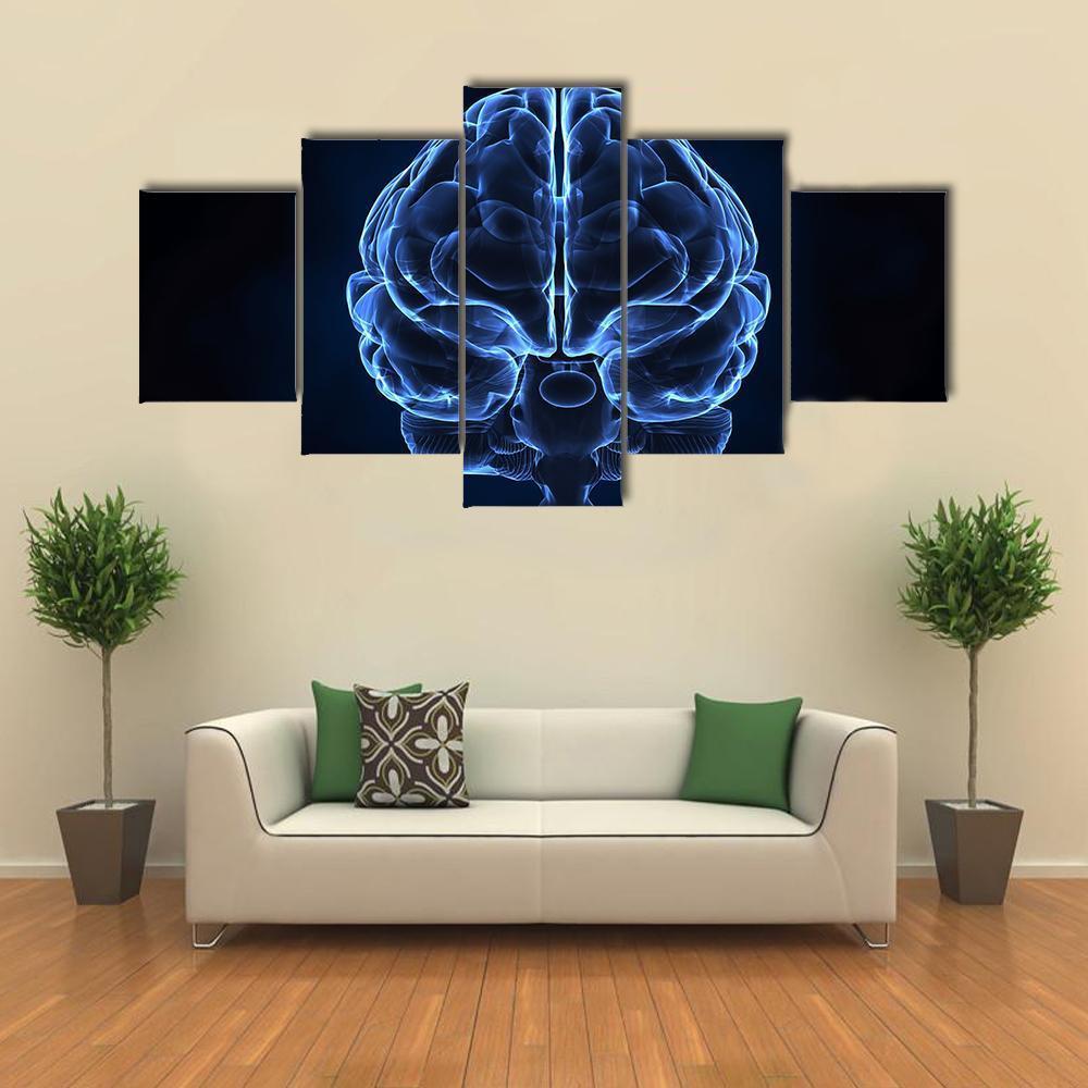 X-Ray Of Human Brain Canvas Wall Art-5 Star-Gallery Wrap-62" x 32"-Tiaracle
