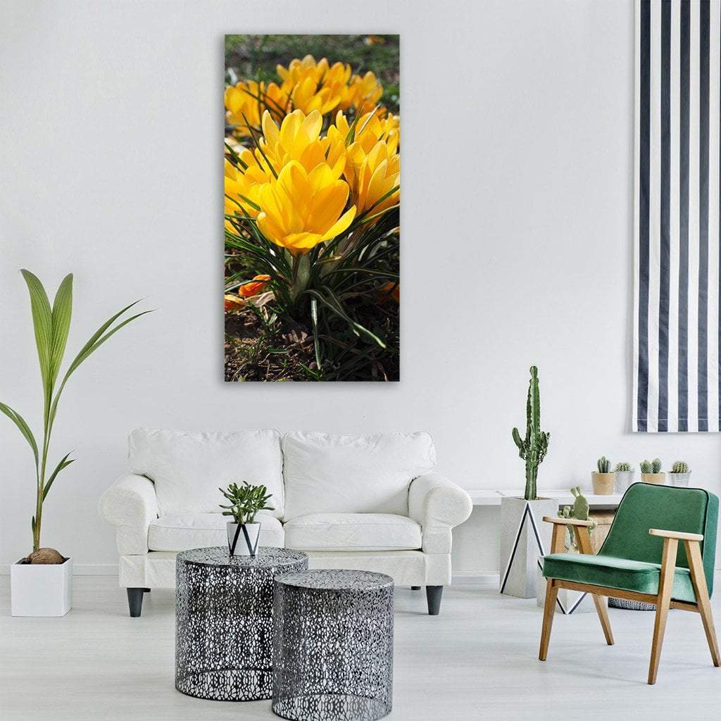 Yellow Crocus Flower In Spring Vertical Canvas Wall Art-1 Vertical-Gallery Wrap-12" x 24"-Tiaracle