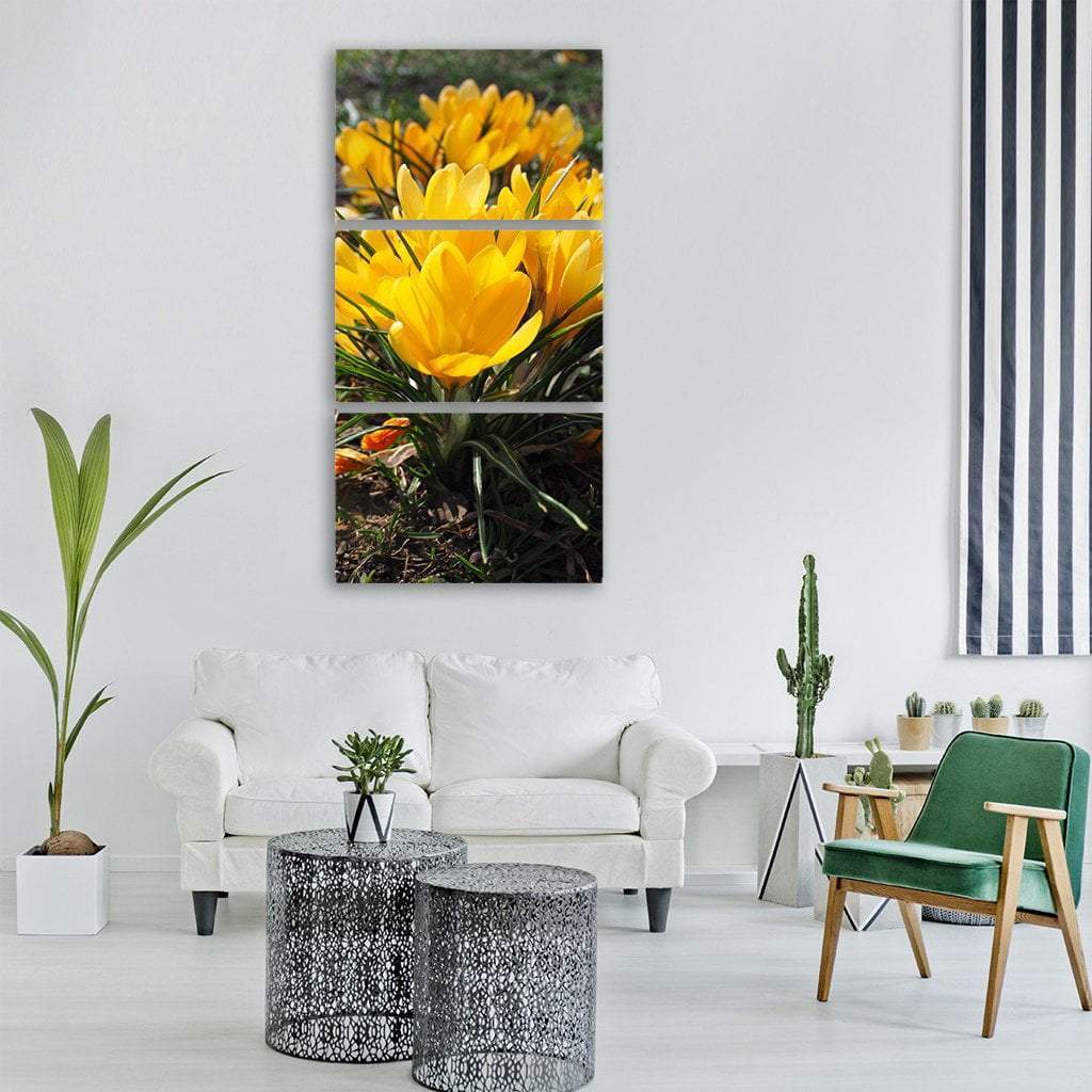 Yellow Crocus Flower In Spring Vertical Canvas Wall Art-3 Vertical-Gallery Wrap-12" x 25"-Tiaracle