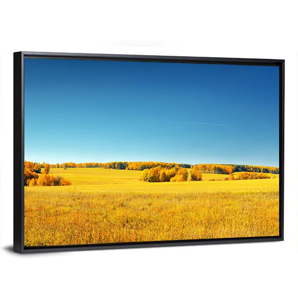 Yellow Field And Blue Sky Canvas Wall Art-3 Horizontal-Gallery Wrap-25" x 16"-Tiaracle