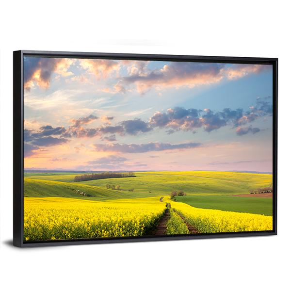 Yellow Flowering Fields Canvas Wall Art-3 Horizontal-Gallery Wrap-25" x 16"-Tiaracle