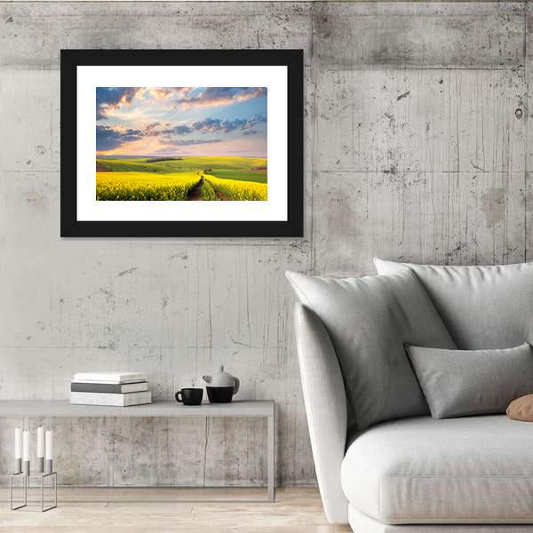 Yellow Flowering Fields Canvas Wall Art-3 Horizontal-Gallery Wrap-25" x 16"-Tiaracle