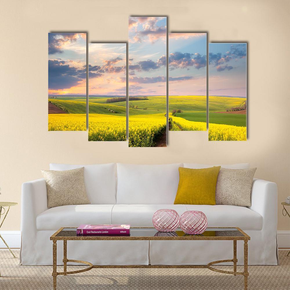 Field of Yellow Flowers with Winding Path Canvas Wall Art in yellow, green and blue, single panel hung on a wall