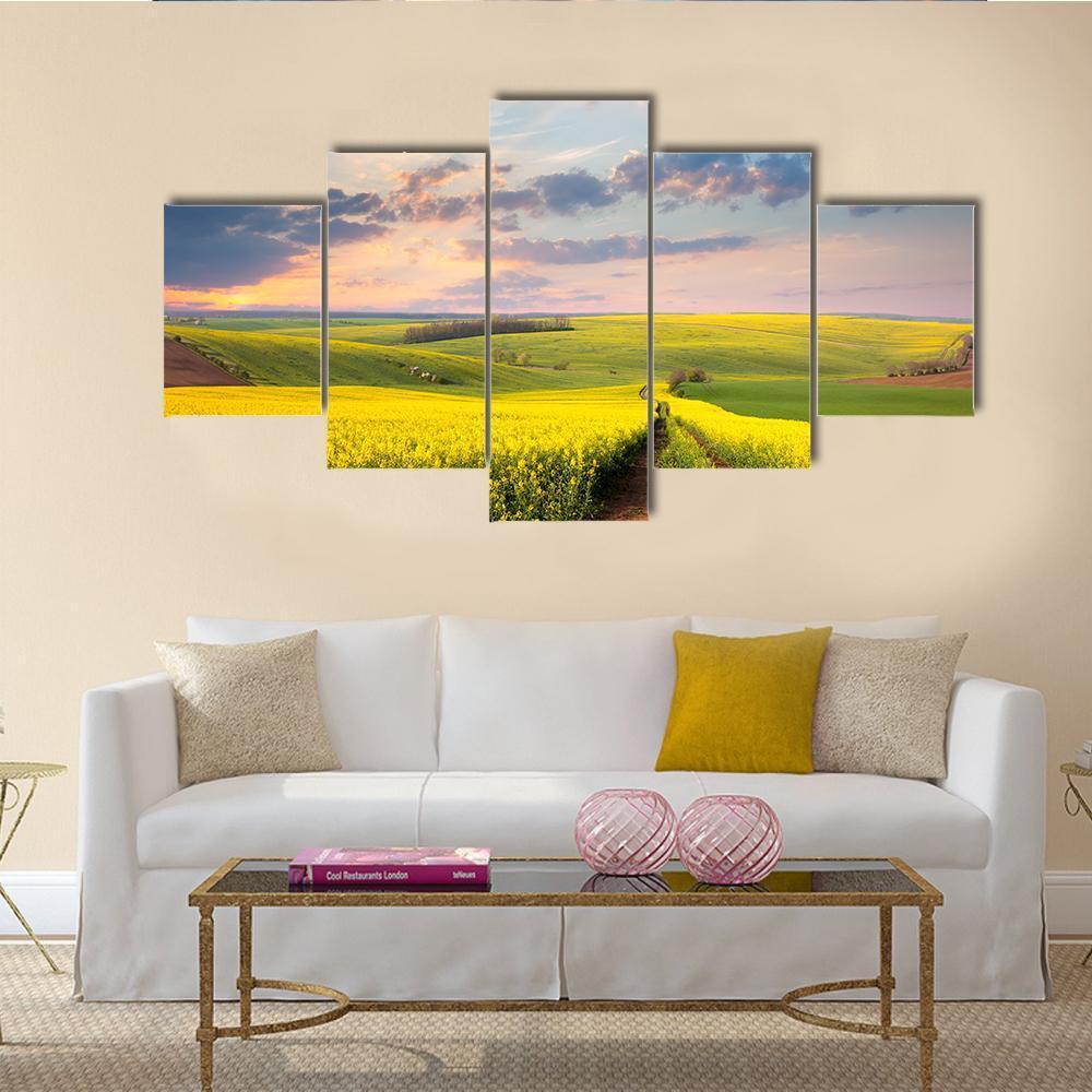 Field of Yellow Flowers with Winding Path Canvas Wall Art in yellow, green and blue, 5 panel Star layout hung on a wall