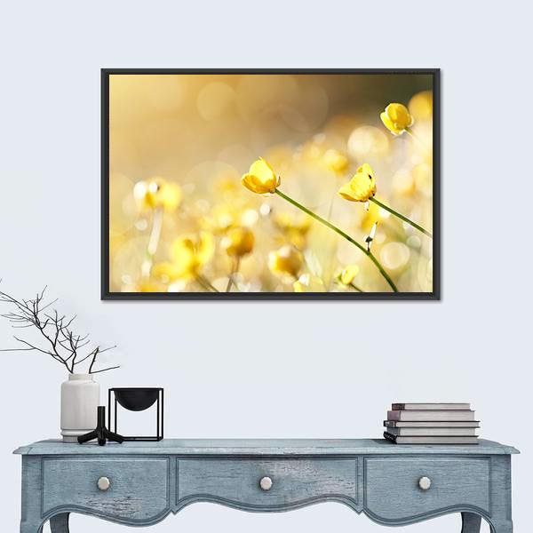 Yellow Flowers Of A Buttercup On A Meadow Lit With The Sun Canvas Wall Art-1 Piece-Floating Frame-24" x 16"-Tiaracle