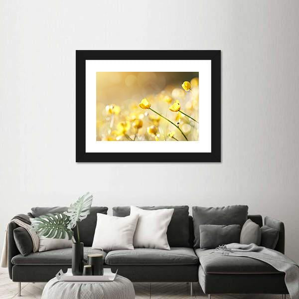 Yellow Flowers Of A Buttercup On A Meadow Lit With The Sun Canvas Wall Art-3 Horizontal-Gallery Wrap-25" x 16"-Tiaracle