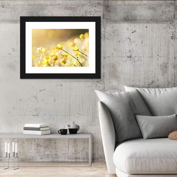 Yellow Flowers Of A Buttercup On A Meadow Lit With The Sun Canvas Wall Art-3 Horizontal-Gallery Wrap-25" x 16"-Tiaracle