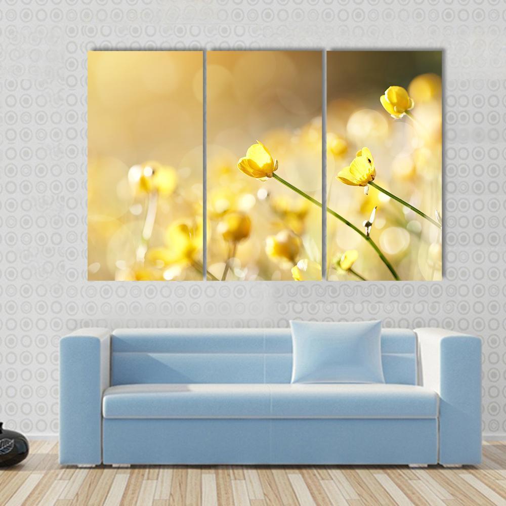 Yellow Flowers Of A Buttercup On A Meadow Lit With The Sun Canvas Wall Art-3 Horizontal-Gallery Wrap-37" x 24"-Tiaracle