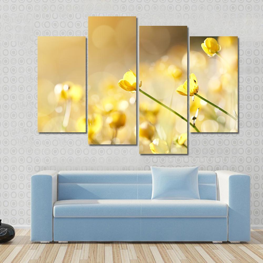 Yellow Flowers Of A Buttercup On A Meadow Lit With The Sun Canvas Wall Art-1 Piece-Gallery Wrap-48" x 32"-Tiaracle