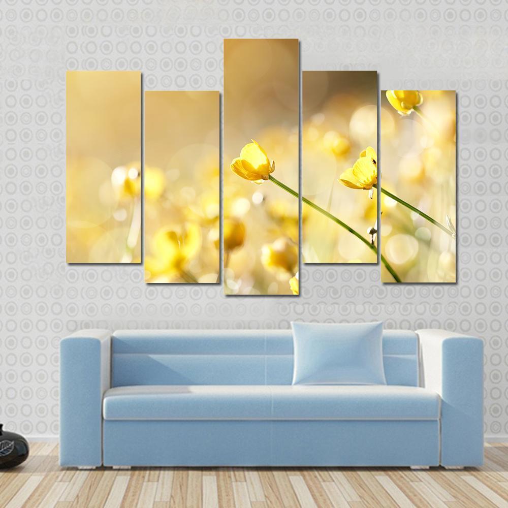 Yellow Flowers Of A Buttercup On A Meadow Lit With The Sun Canvas Wall Art-5 Pop-Gallery Wrap-47" x 32"-Tiaracle