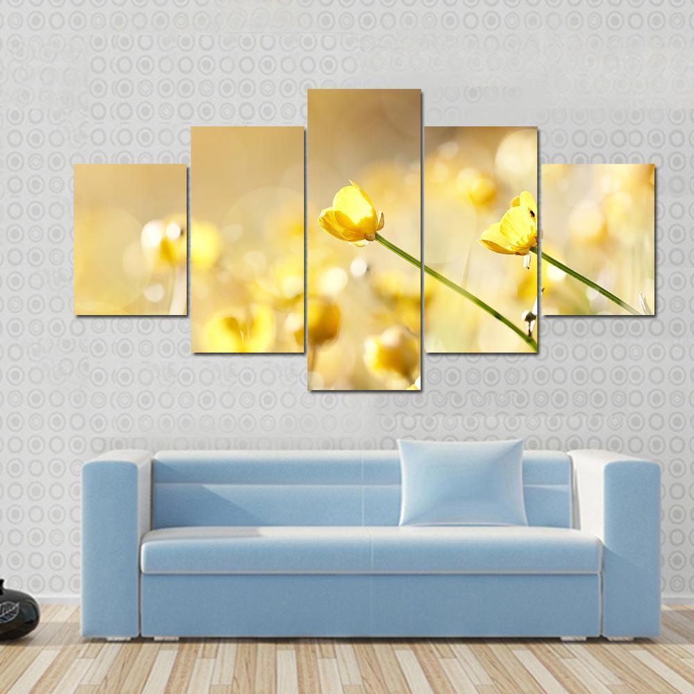 Yellow Flowers Of A Buttercup On A Meadow Lit With The Sun Canvas Wall Art-5 Star-Gallery Wrap-62" x 32"-Tiaracle