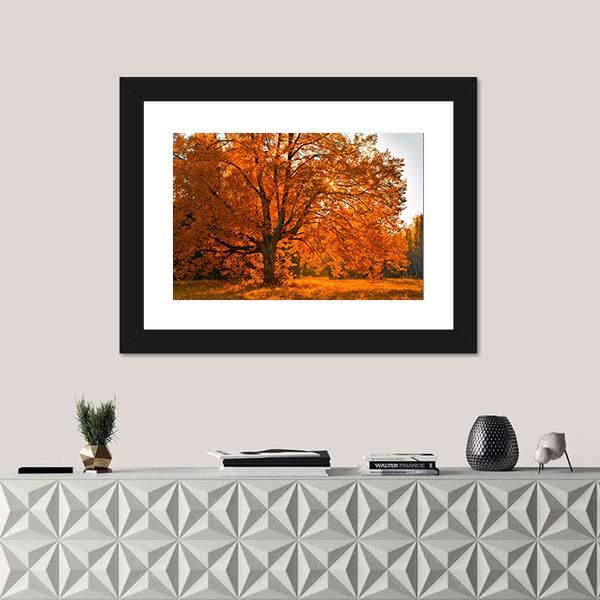 Yellow Leaves In Autumn Canvas Wall Art-1 Piece-Framed Print-20" x 16"-Tiaracle