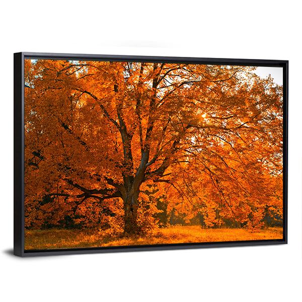 Yellow Leaves In Autumn Canvas Wall Art-3 Horizontal-Gallery Wrap-25" x 16"-Tiaracle