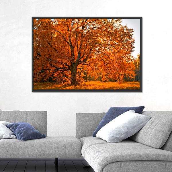 Yellow Leaves In Autumn Canvas Wall Art-3 Horizontal-Gallery Wrap-25" x 16"-Tiaracle