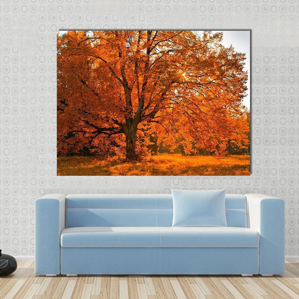 Yellow Leaves in Autumn Canvas Wall Art in brown, orange and yellow, single panel hung on a wall