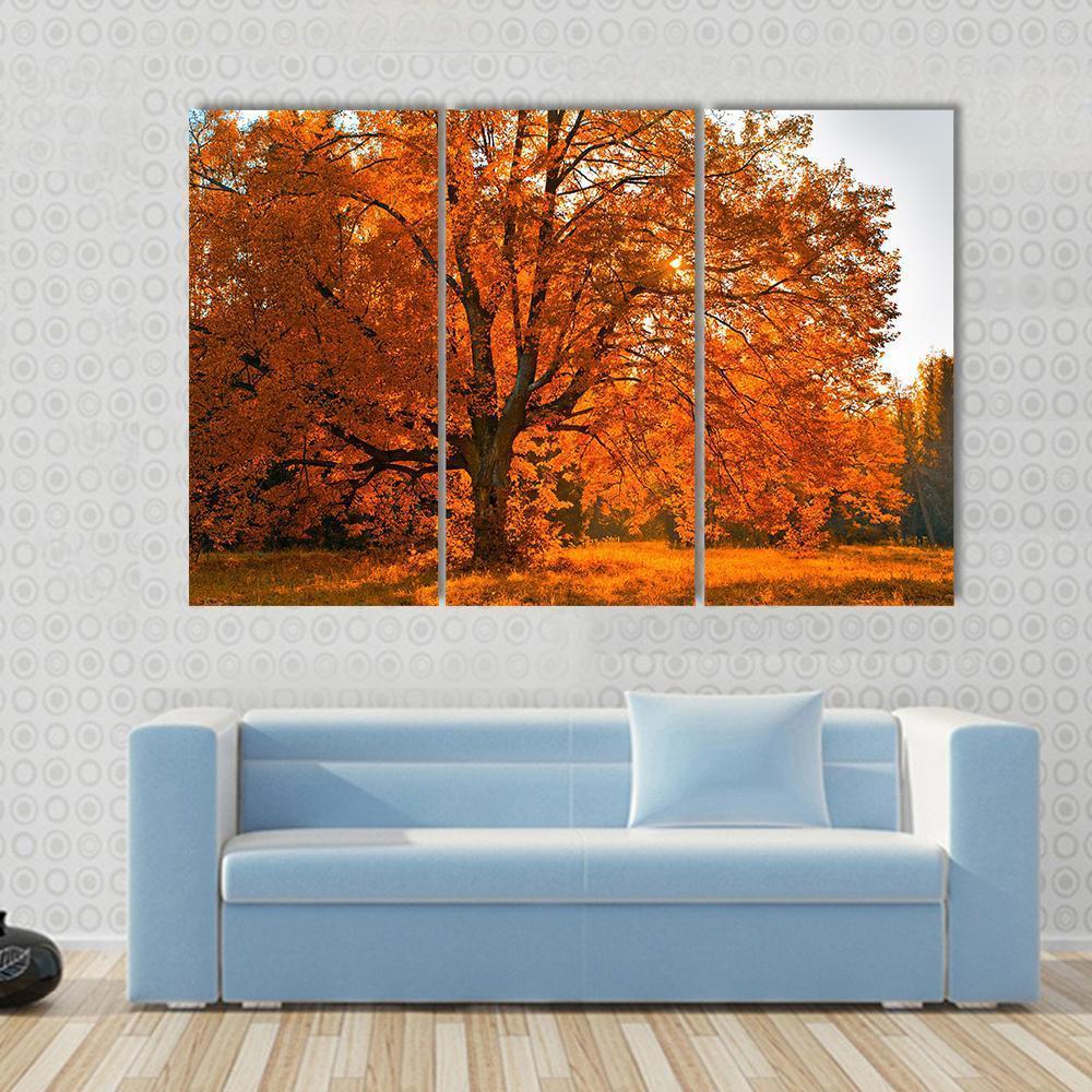 Yellow Leaves In Autumn Canvas Wall Art-3 Horizontal-Gallery Wrap-37" x 24"-Tiaracle