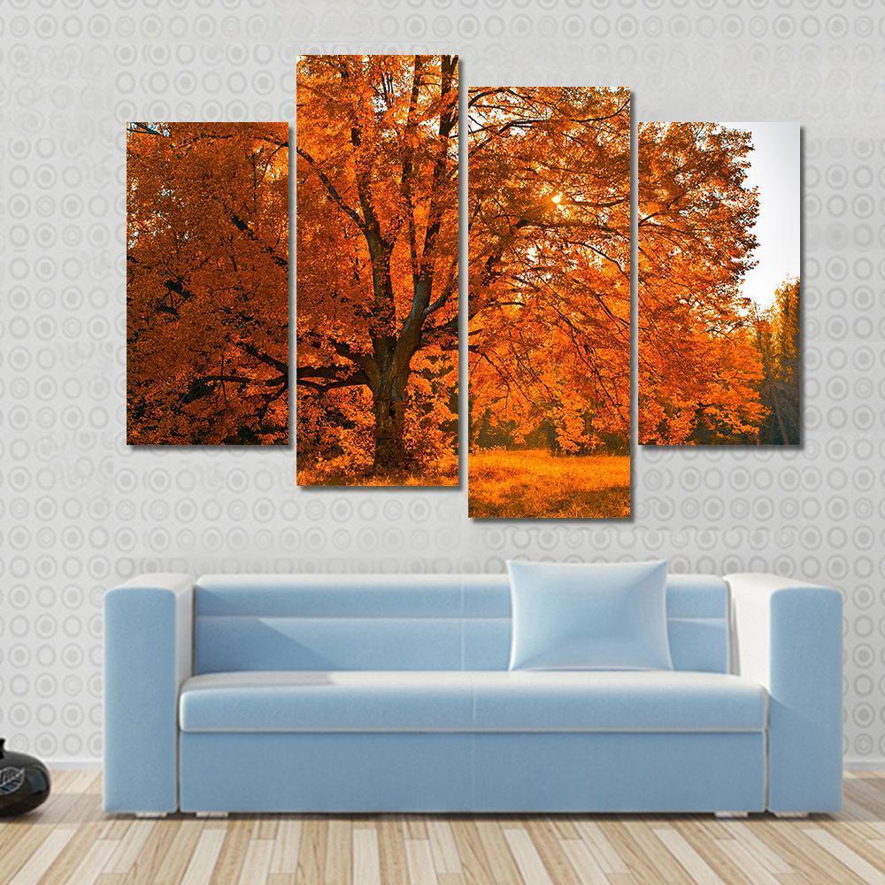 Yellow Leaves In Autumn Canvas Wall Art-4 Pop-Gallery Wrap-50" x 32"-Tiaracle