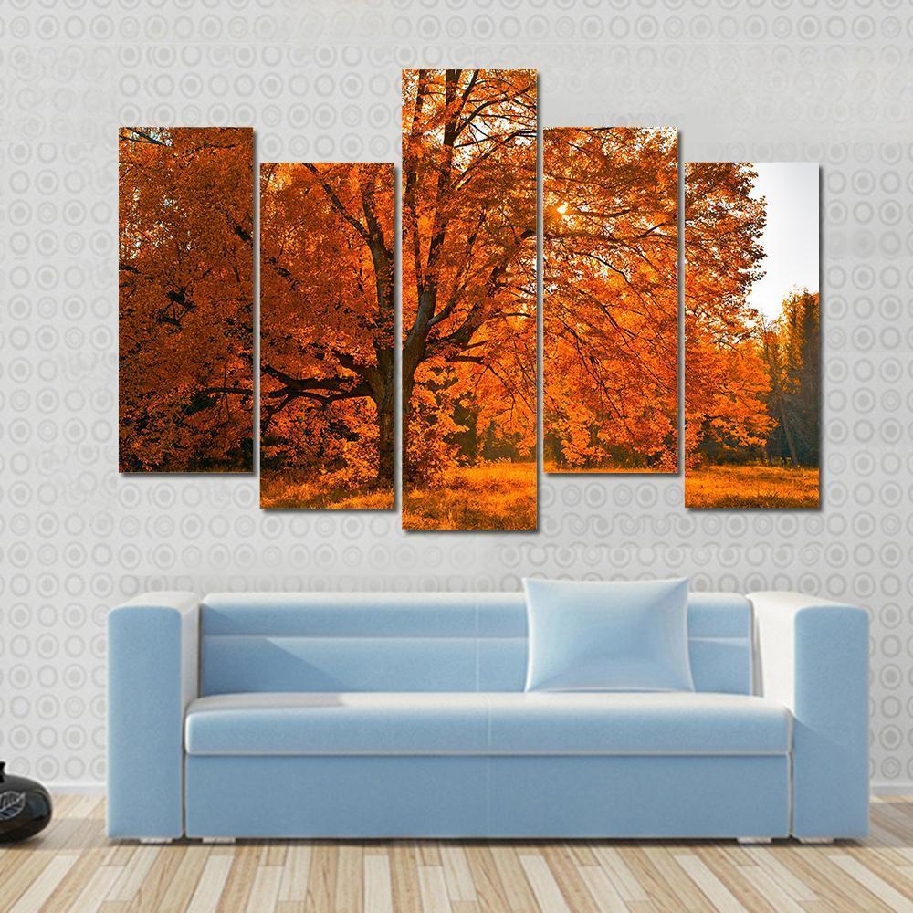 Yellow Leaves In Autumn Canvas Wall Art-5 Pop-Gallery Wrap-47" x 32"-Tiaracle