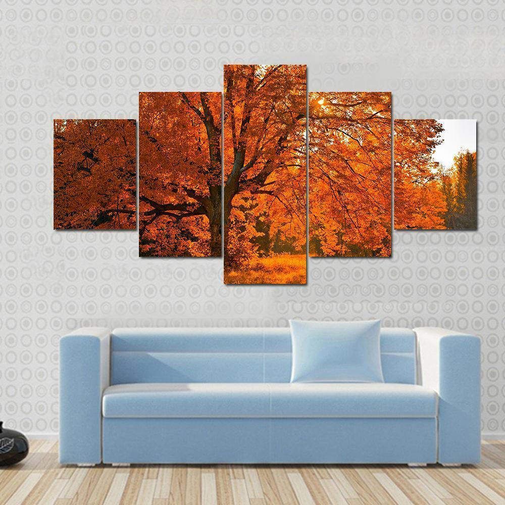 Yellow Leaves In Autumn Canvas Wall Art-5 Star-Gallery Wrap-62" x 32"-Tiaracle