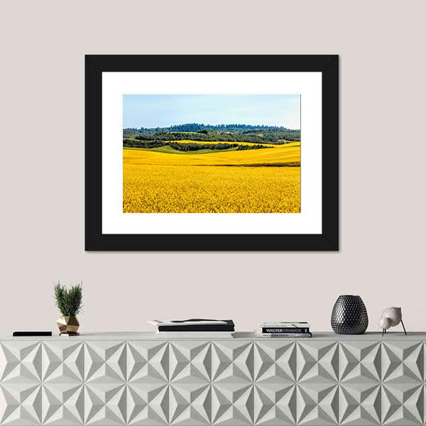 Yellow Mustard Fields Canvas Wall Art-1 Piece-Framed Print-20" x 16"-Tiaracle