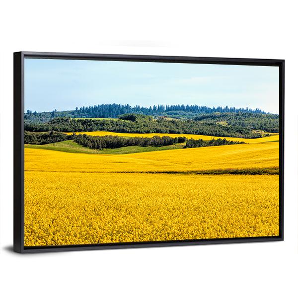 Yellow Mustard Fields Canvas Wall Art-3 Horizontal-Gallery Wrap-25" x 16"-Tiaracle