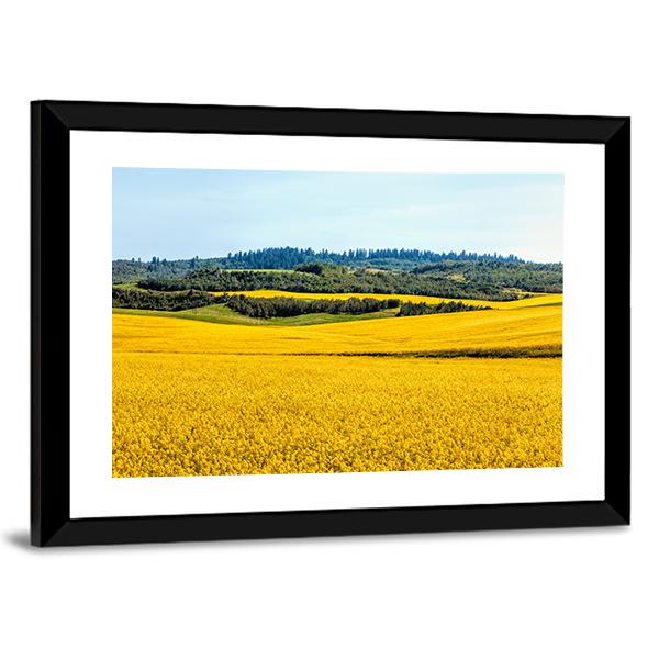 Yellow Mustard Fields Canvas Wall Art-3 Horizontal-Gallery Wrap-25" x 16"-Tiaracle